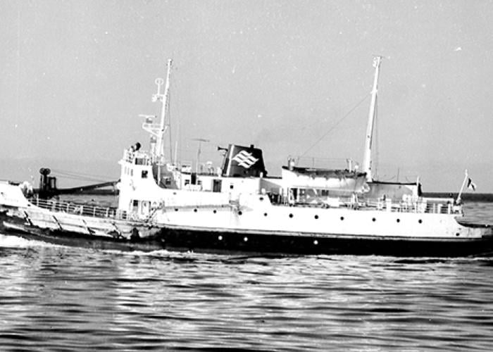 black and white image of Petite Forte