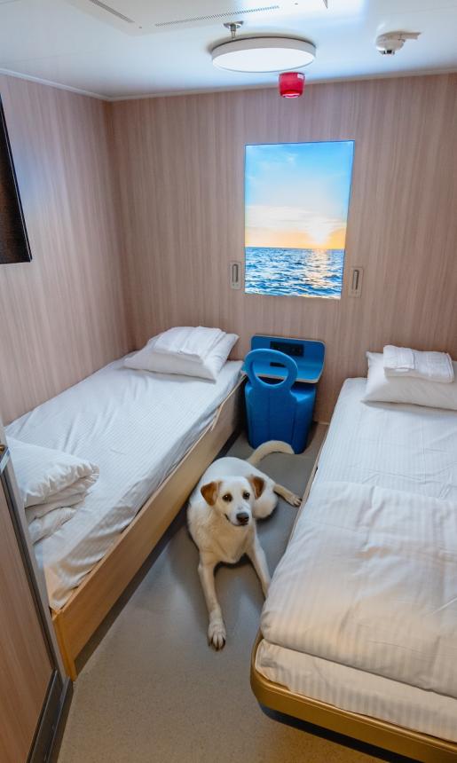Two bed, pet-friendly cabin on the Ala'suinu 